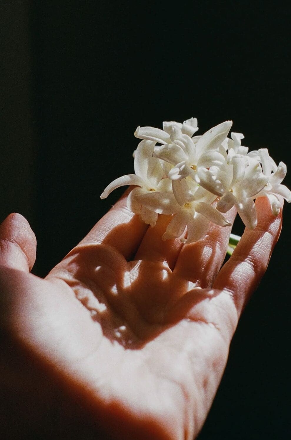 Fine art film wedding photography using Kodak Portra 400 in natural light